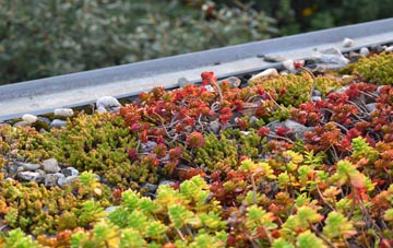 the cost of Lower Holditch green roof installation