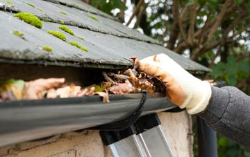 gutter cleaning Lower Holditch, Dorset