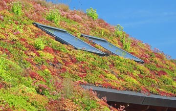 Lower Holditch living roof systems