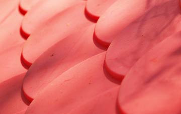 Lower Holditch plastic roof costs