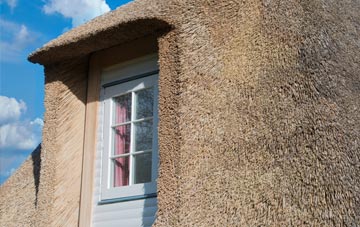 Lower Holditch thatch roof disadvantages