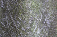 Lower Holditch fibreglass roof work